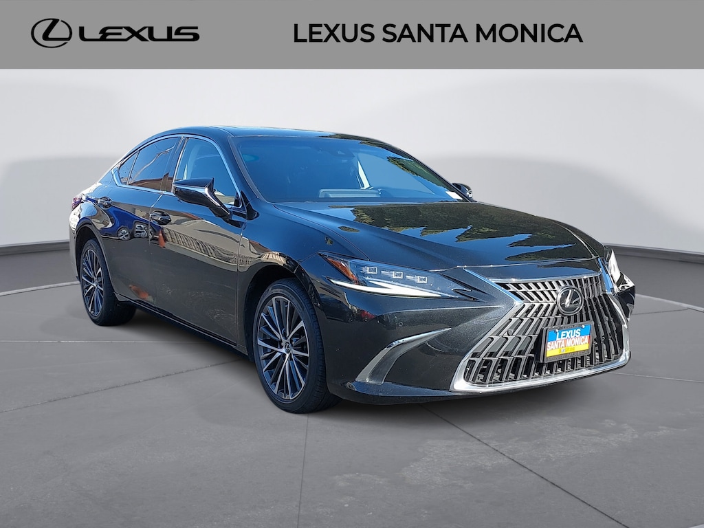 2023 Lexus ES 300h Luxury photo 2