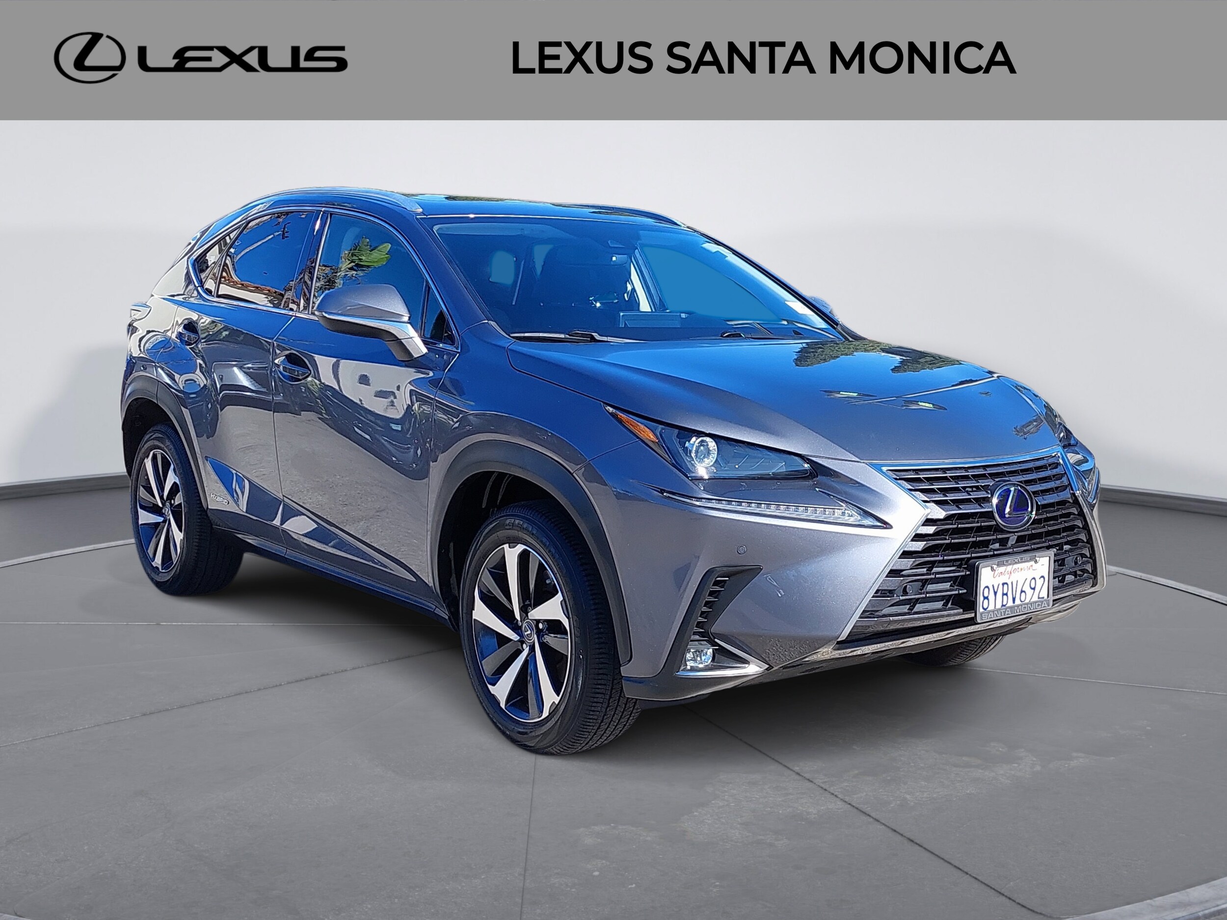 2021 Lexus NX 300h photo 2
