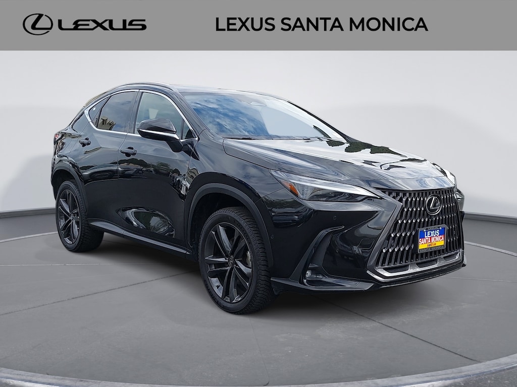 2022 Lexus NX 450h+ F SPORT photo 2