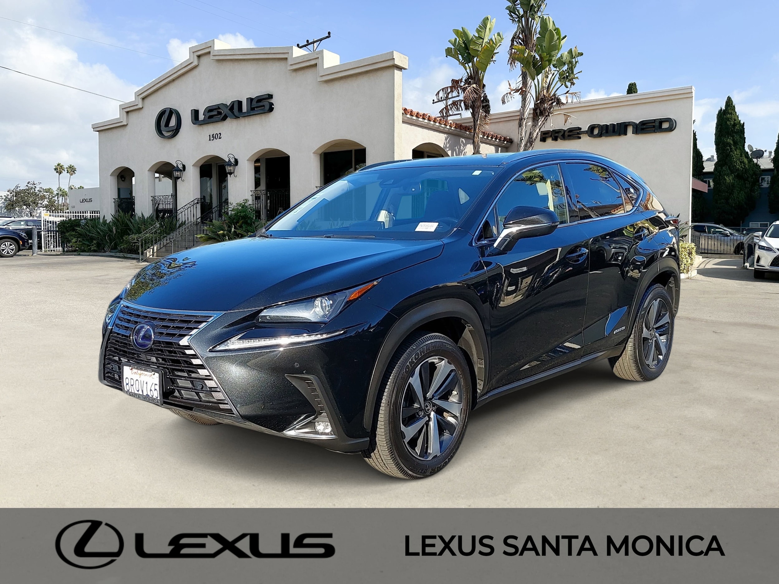 2020 Lexus NX Hybrid 300h's photo