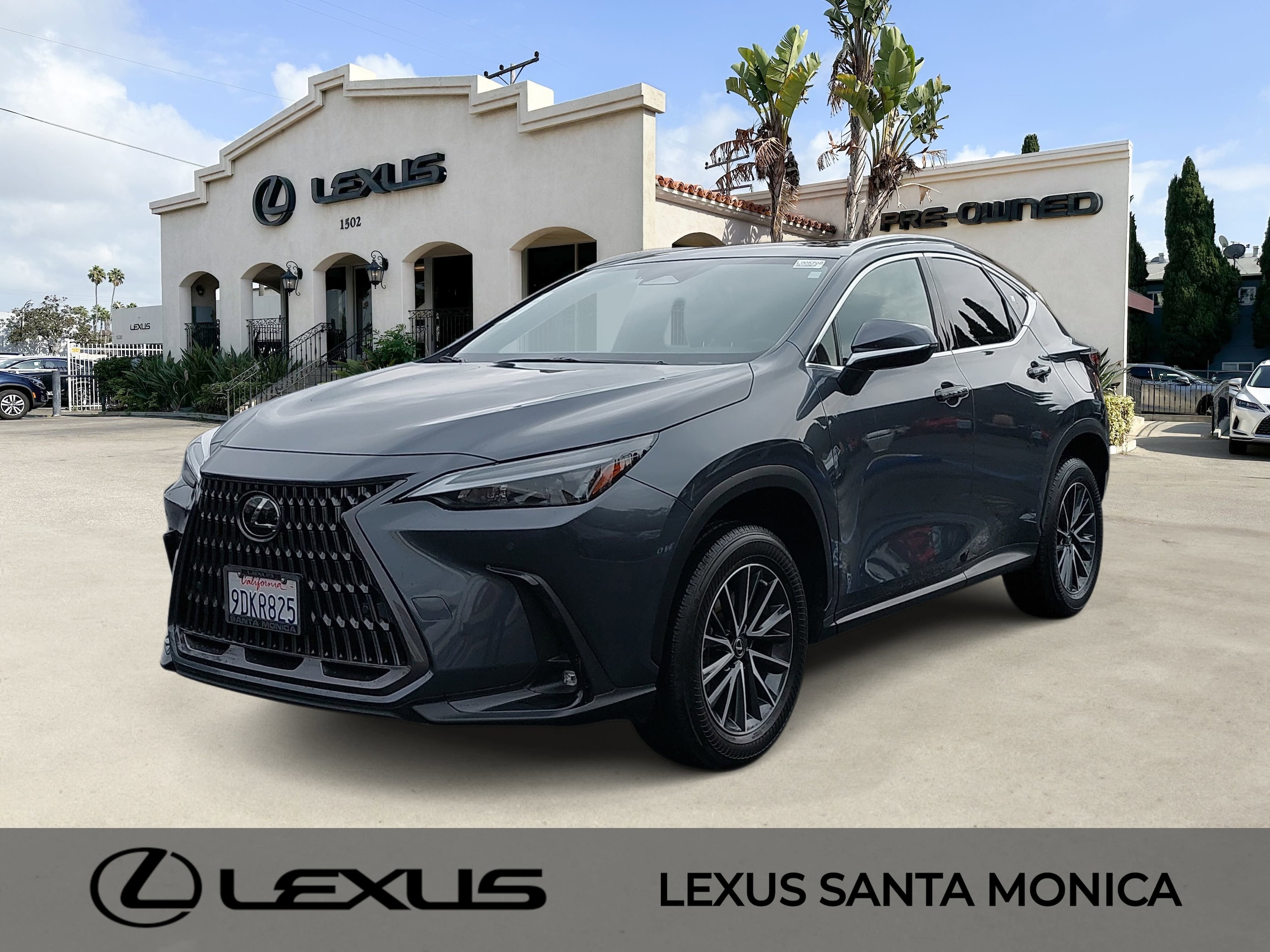 2022 Lexus NX Hybrid 350h's photo
