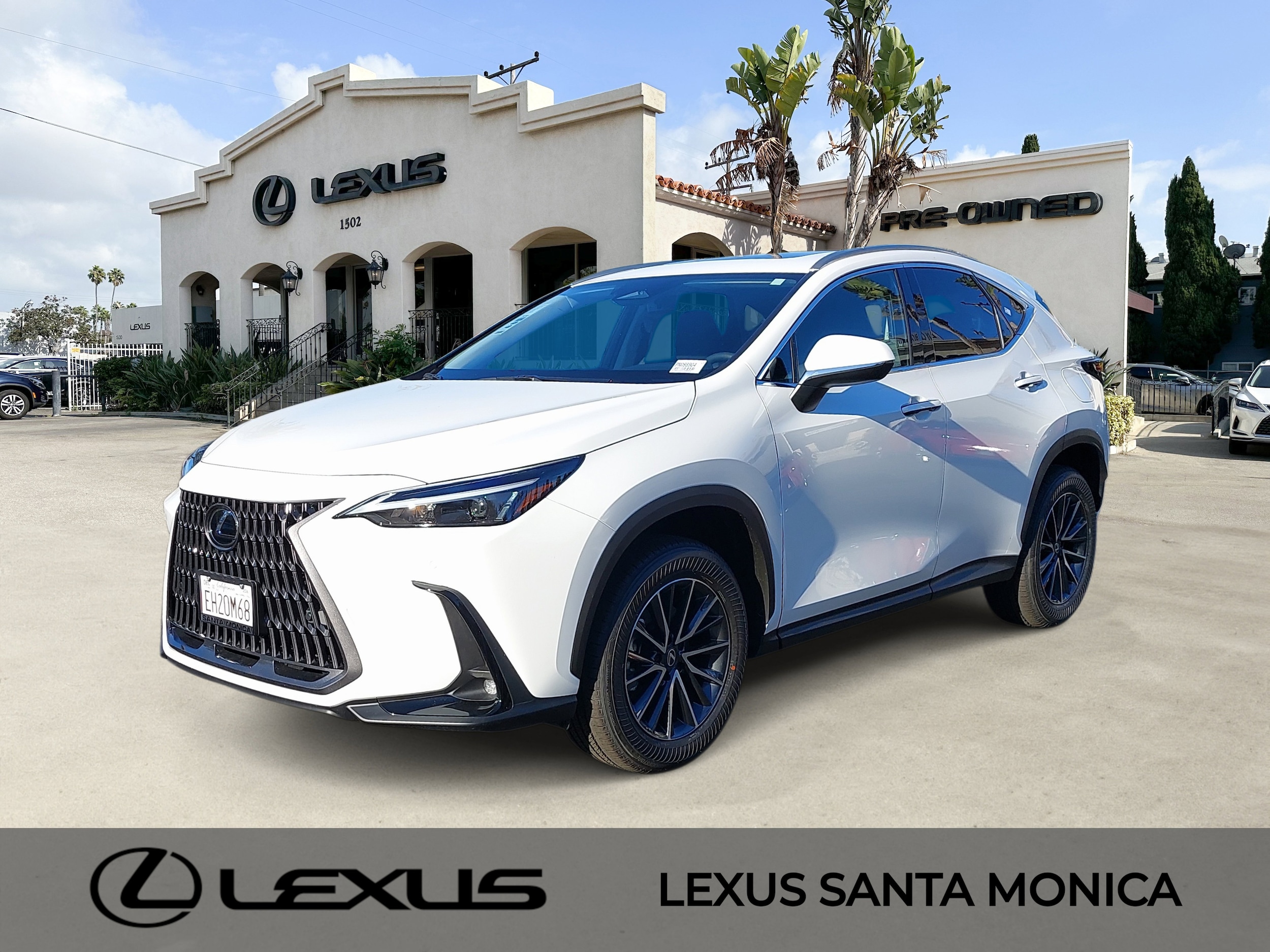 2026 Lexus NX 350's photo