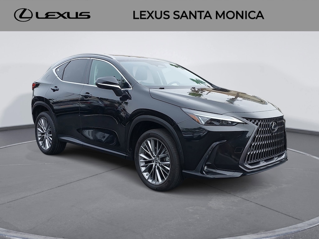 2023 Lexus NX 350 Luxury photo 3