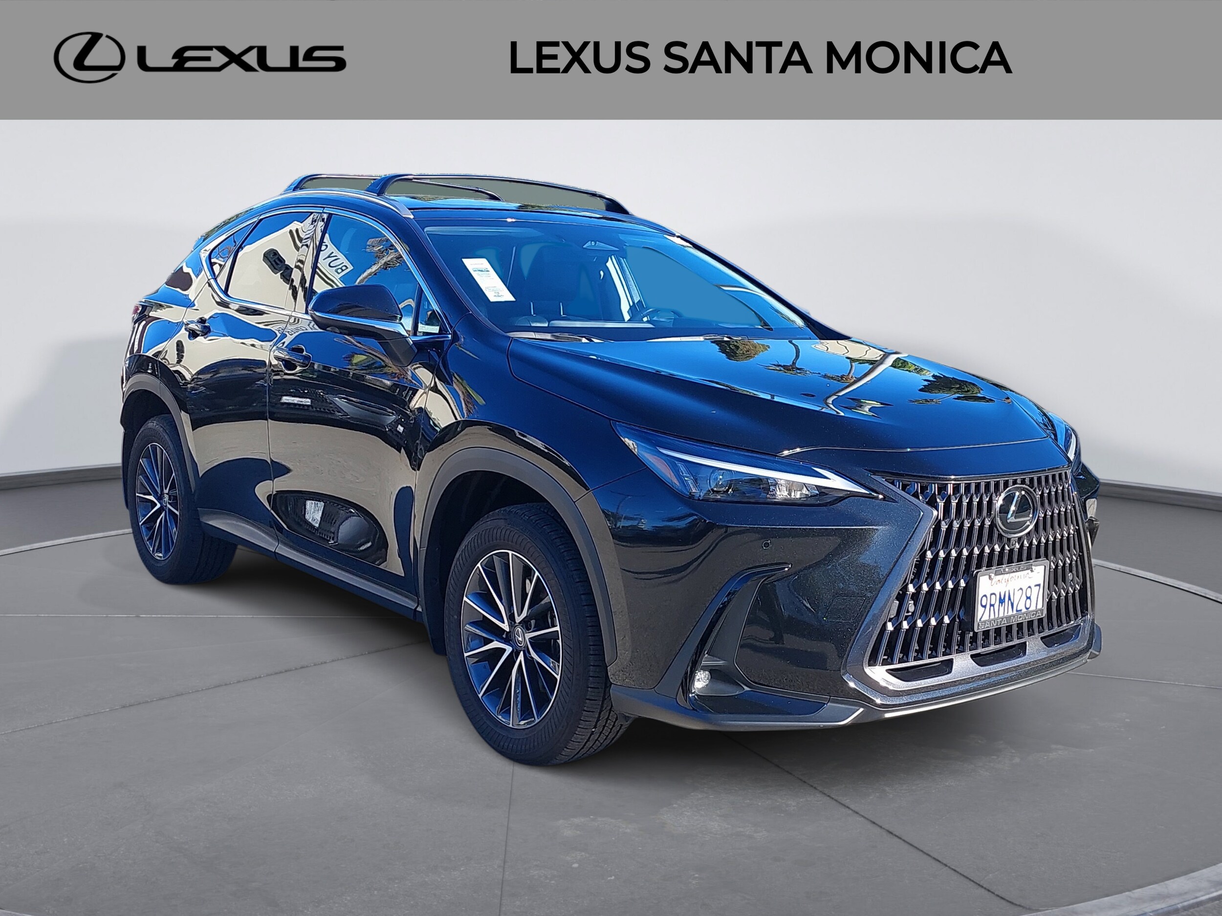 2025 Lexus NX 350h Premium photo 2