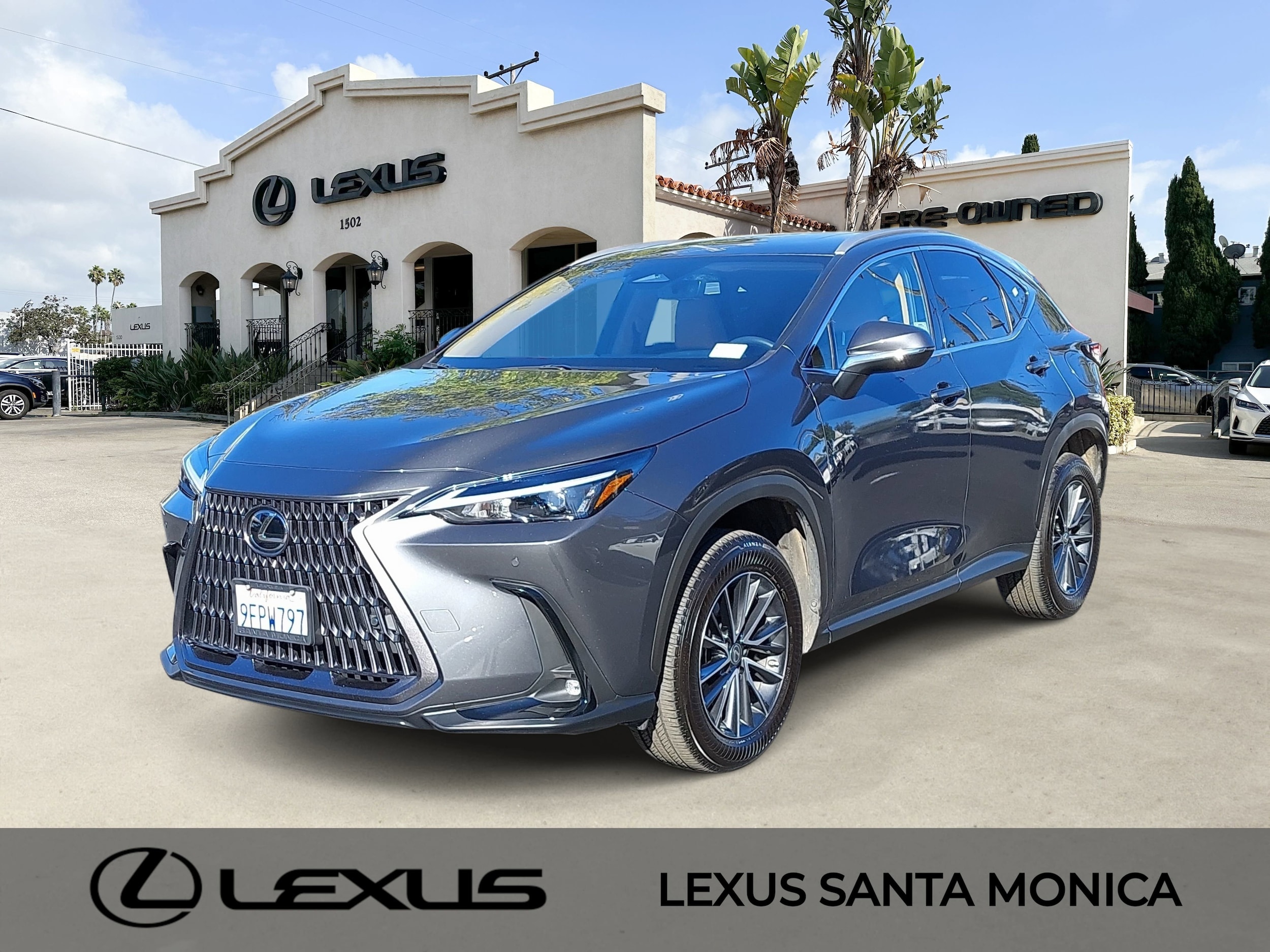 2023 Lexus NX 350's photo