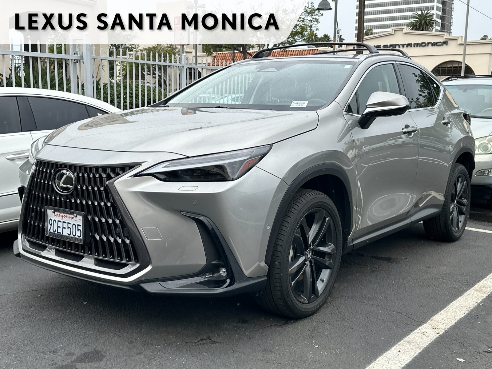 2022 Lexus NX PHEV 450h+'s photo
