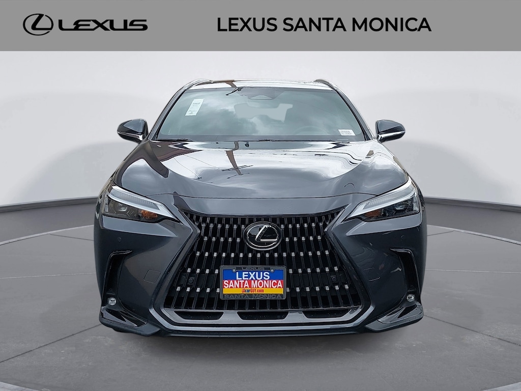 2022 Lexus NX 250 Premium photo 2
