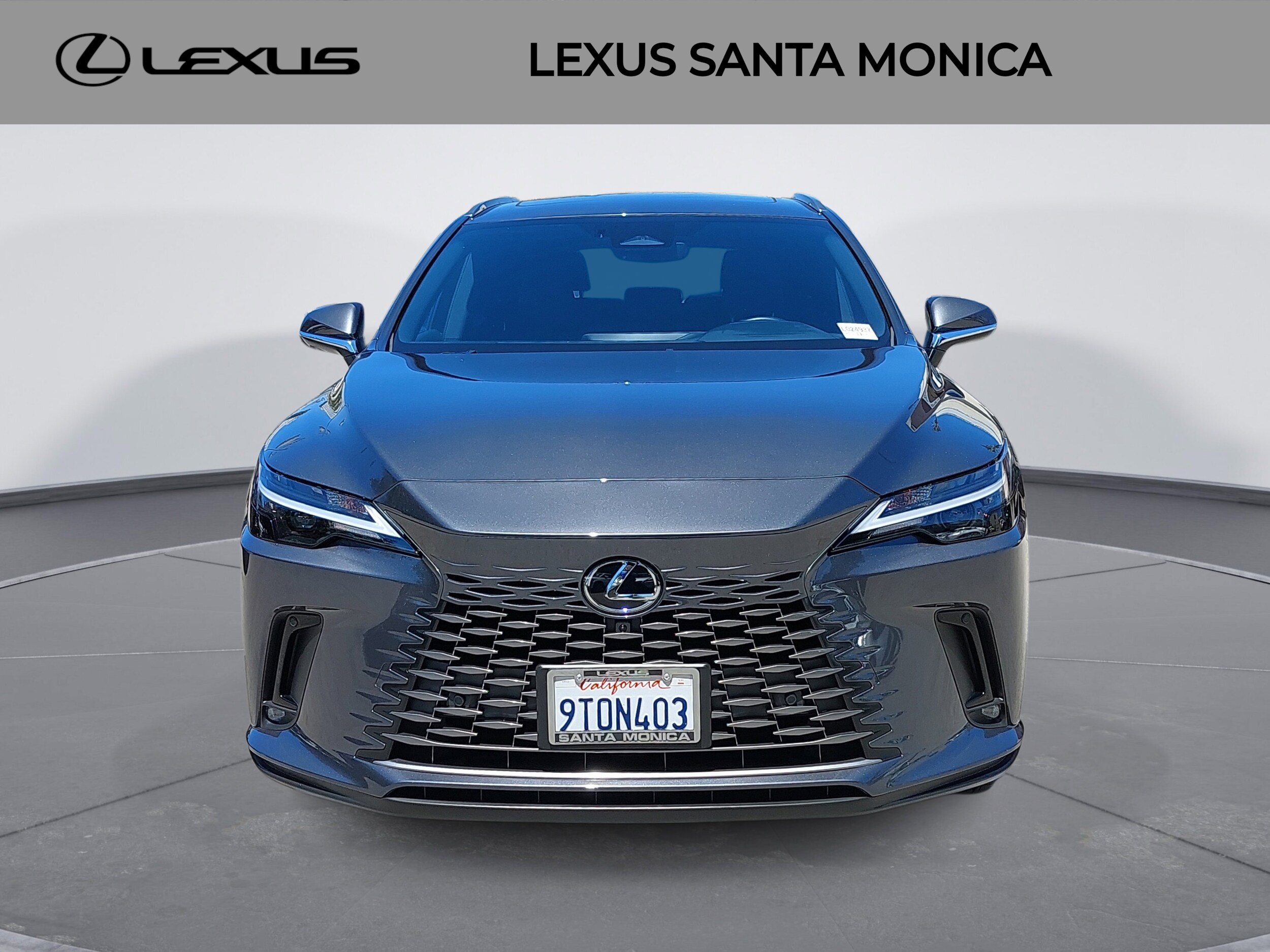 2025 Lexus RX 350 Premium photo 2