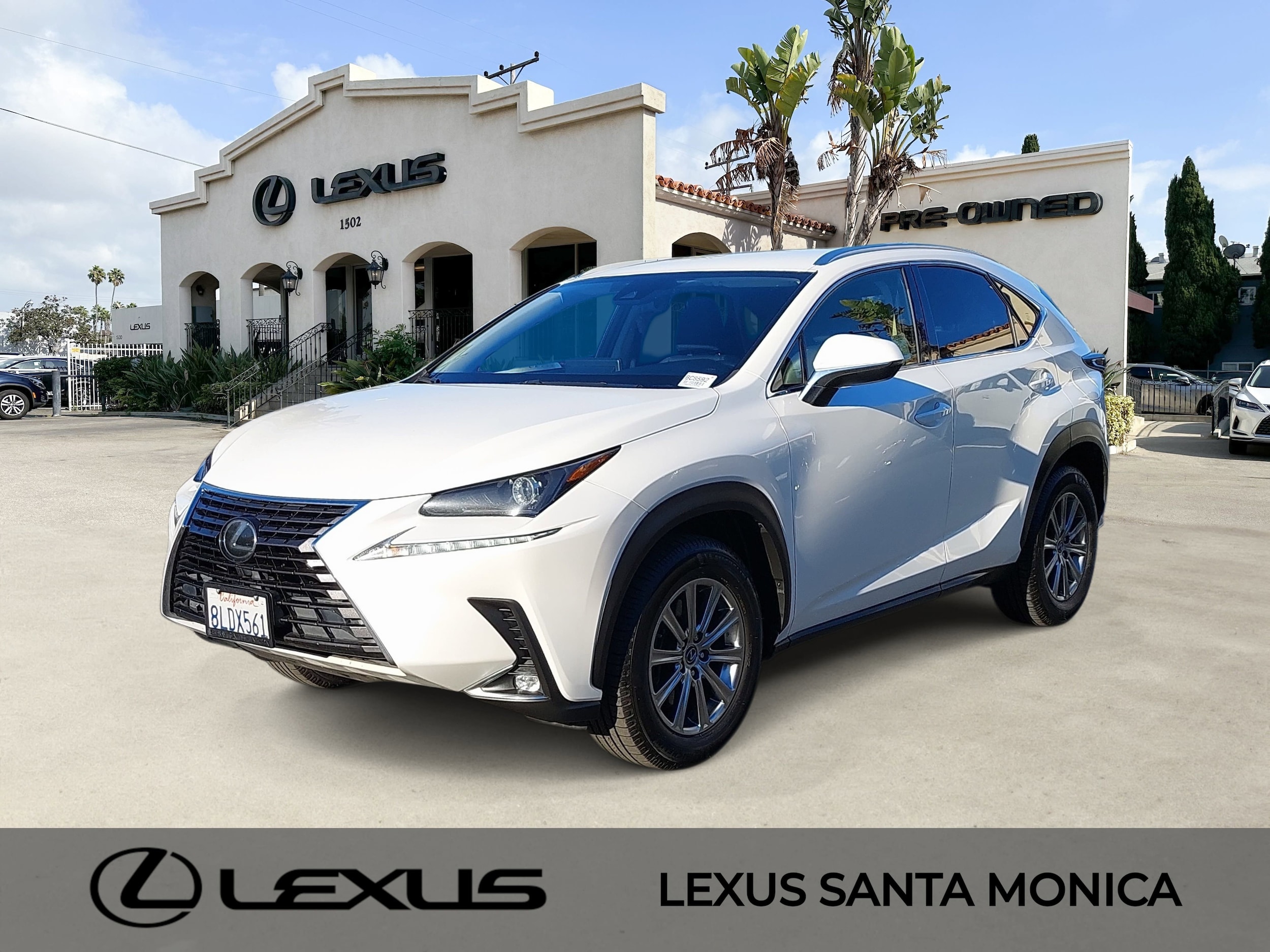 2020 Lexus NX 300's photo
