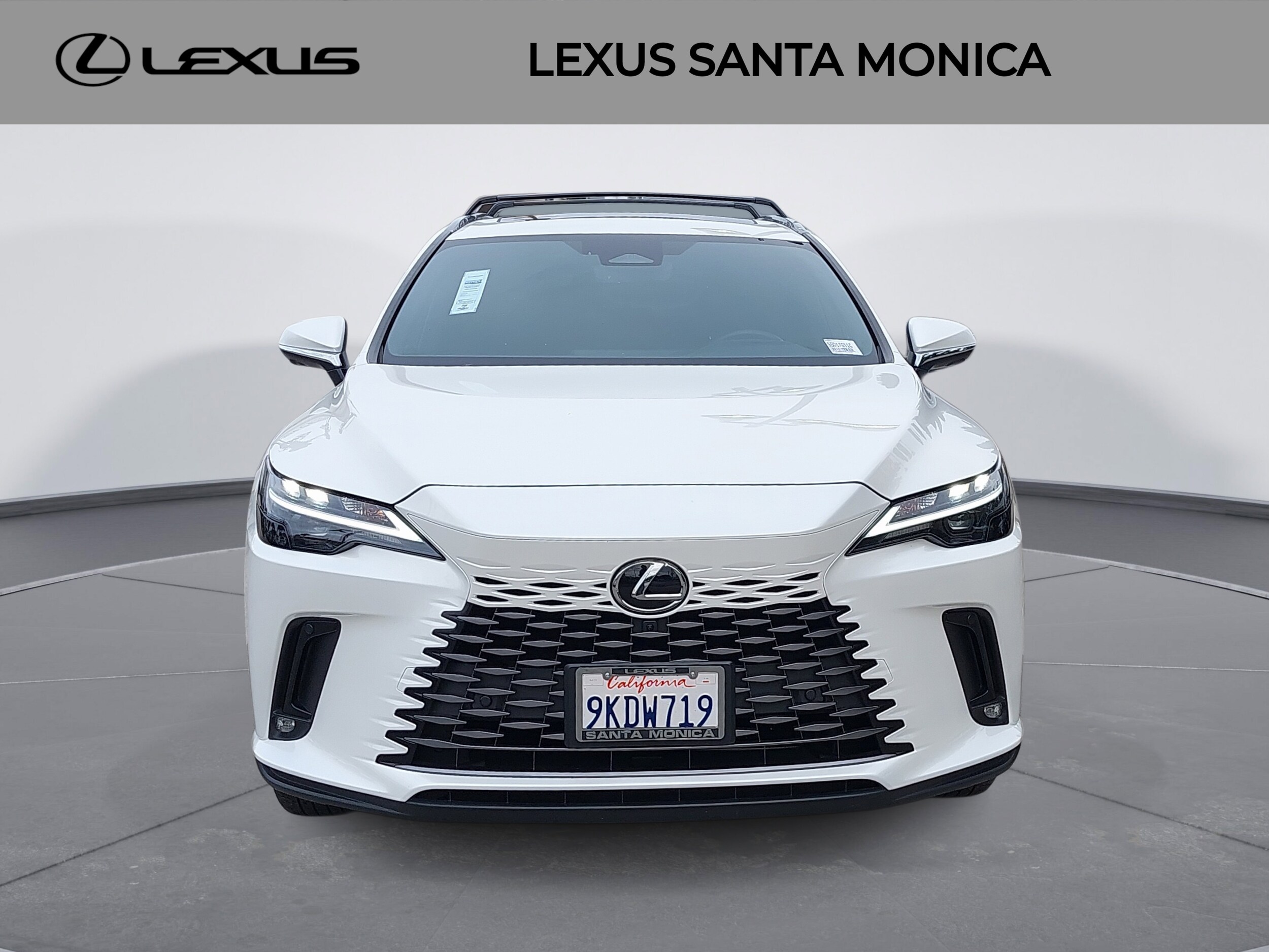2024 Lexus RX 350 Premium photo 2