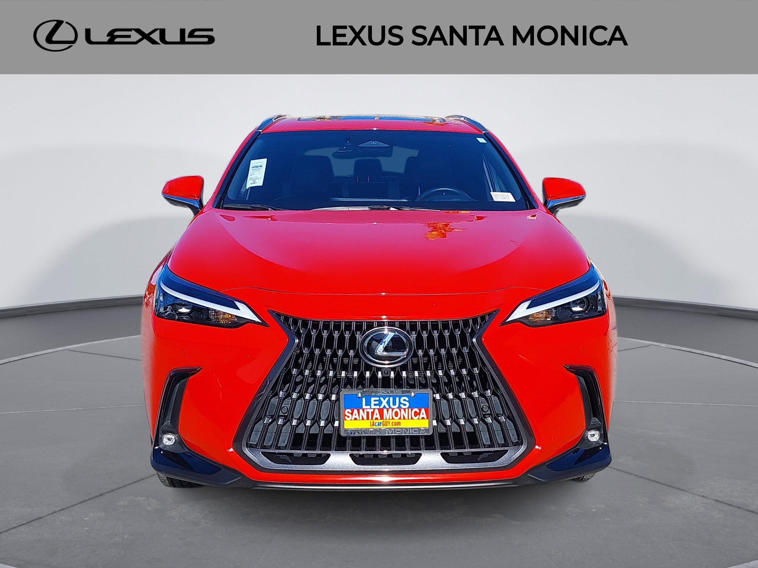 2022 Lexus NX 350h Luxury photo 2