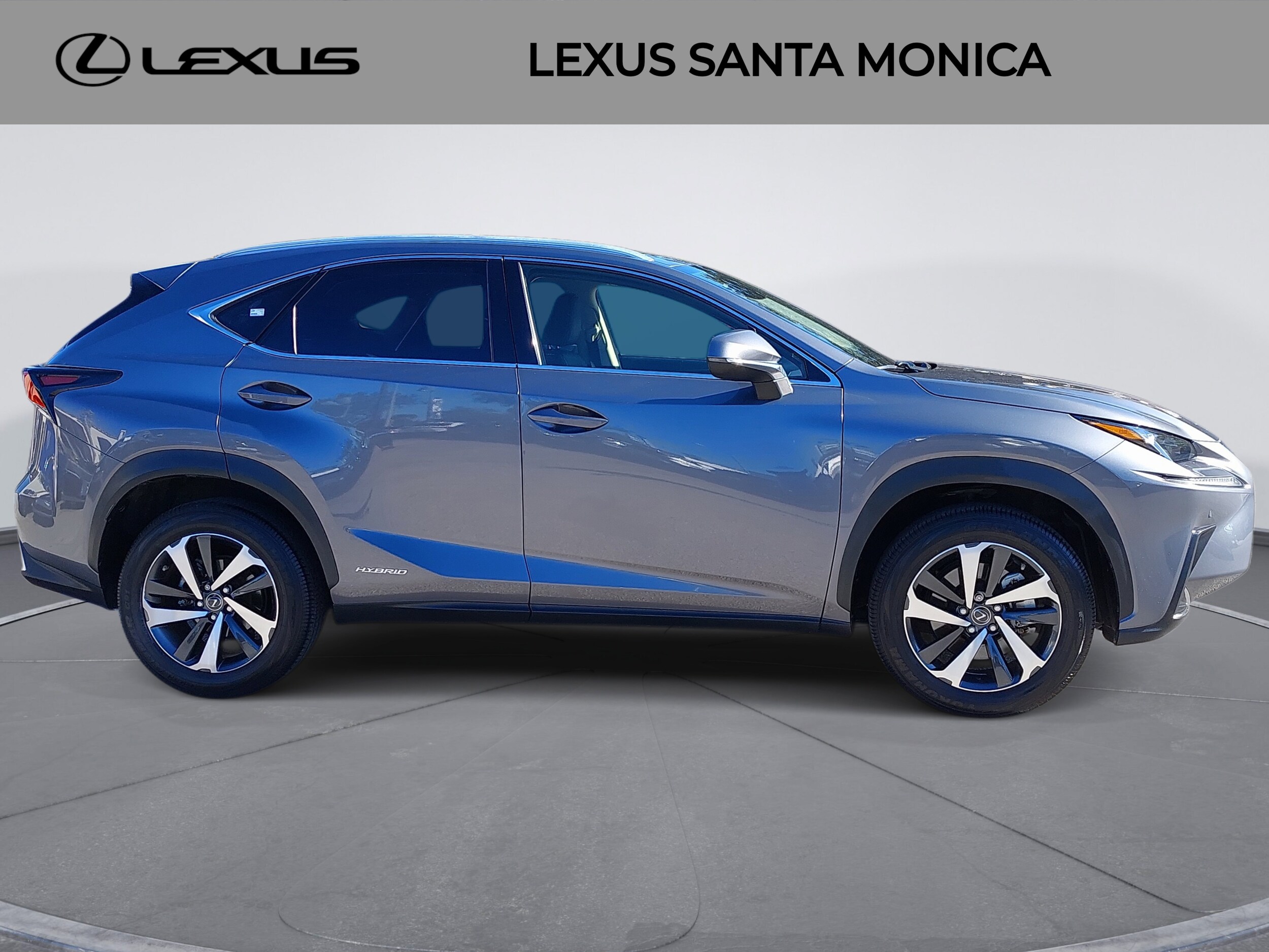 2021 Lexus NX 300h photo 3