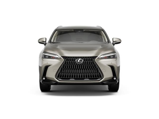 2026 Lexus NX 350 photo 6