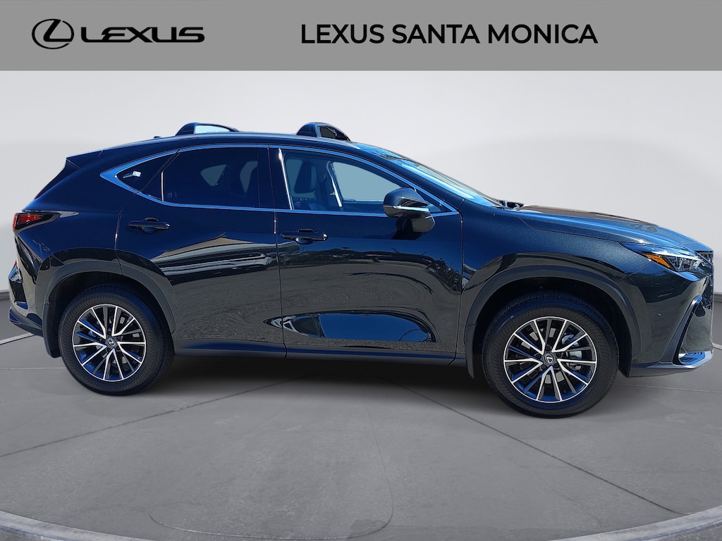 2025 Lexus NX 350h Premium photo 3