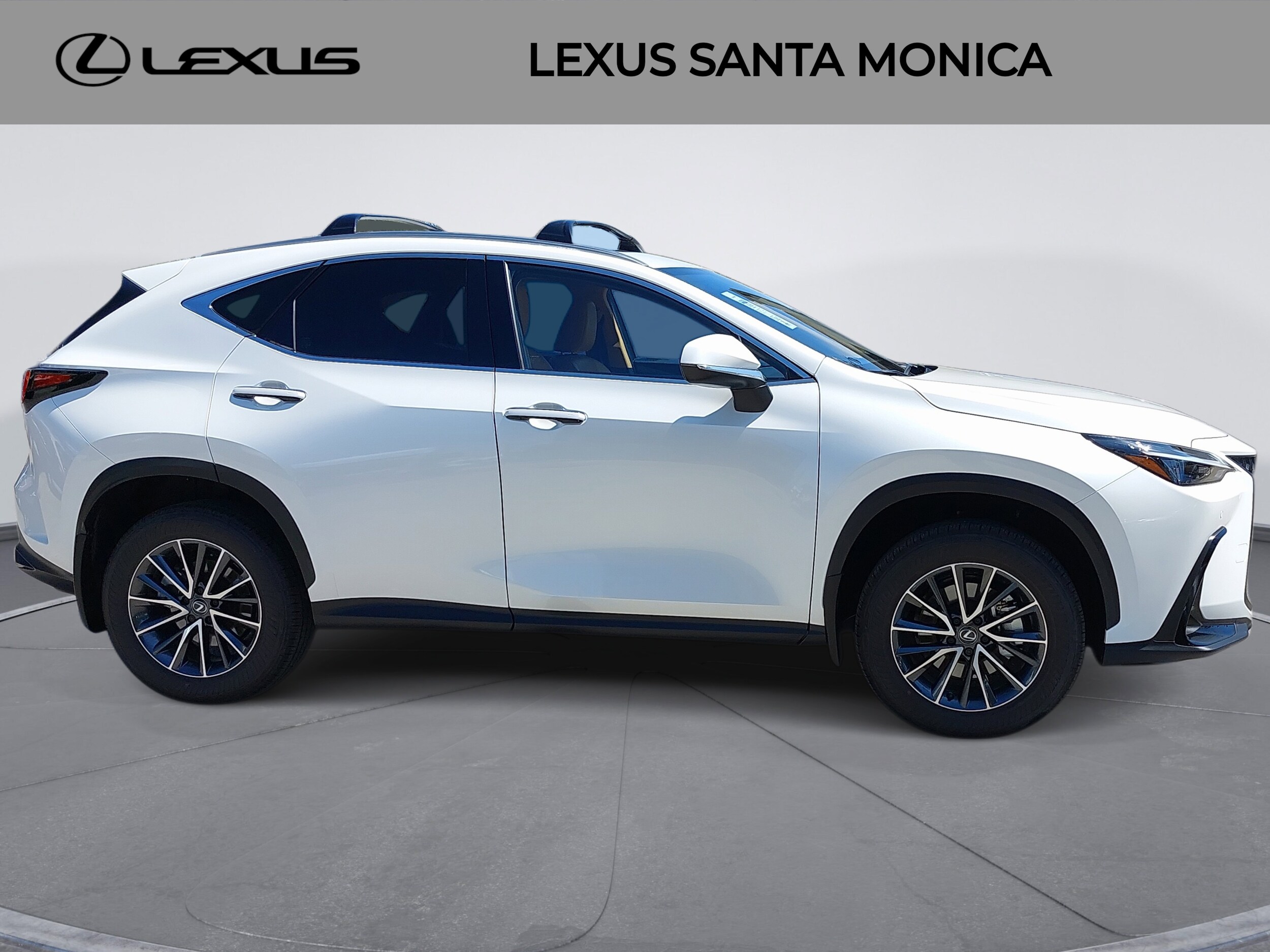 2025 Lexus NX 350h Premium photo 4