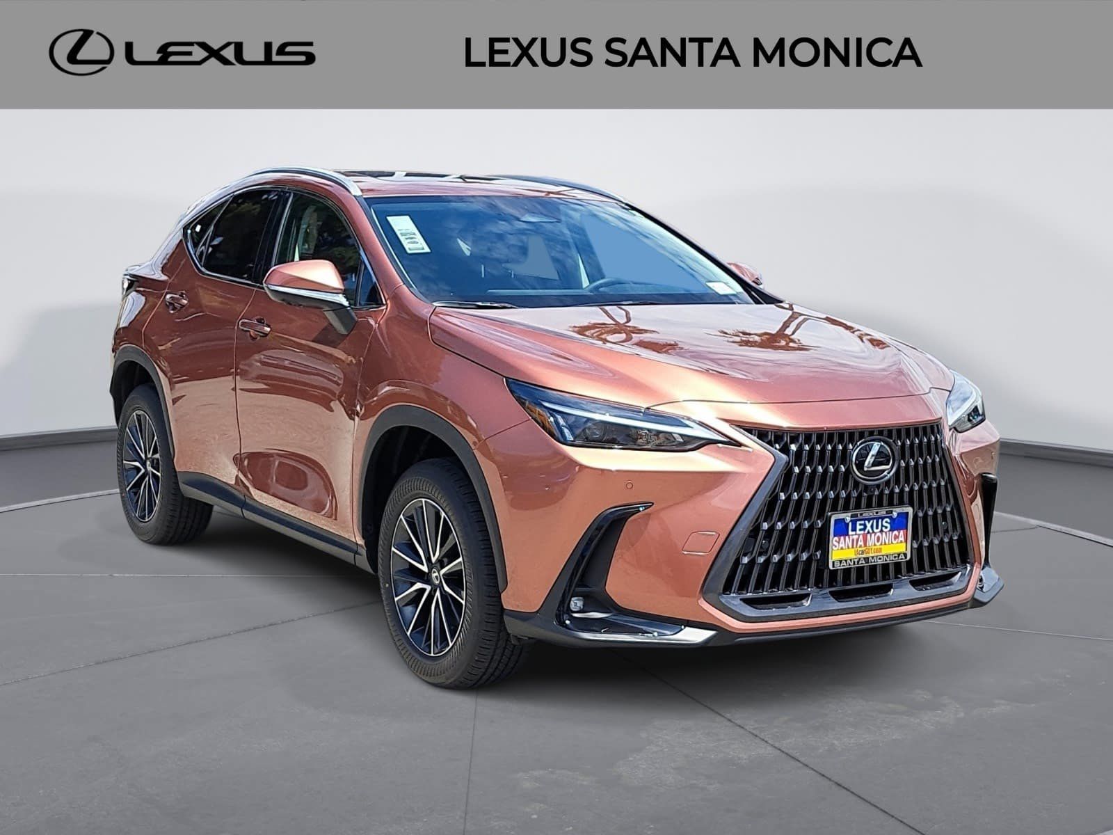 Used Lexus For Sale in Santa Monica, California