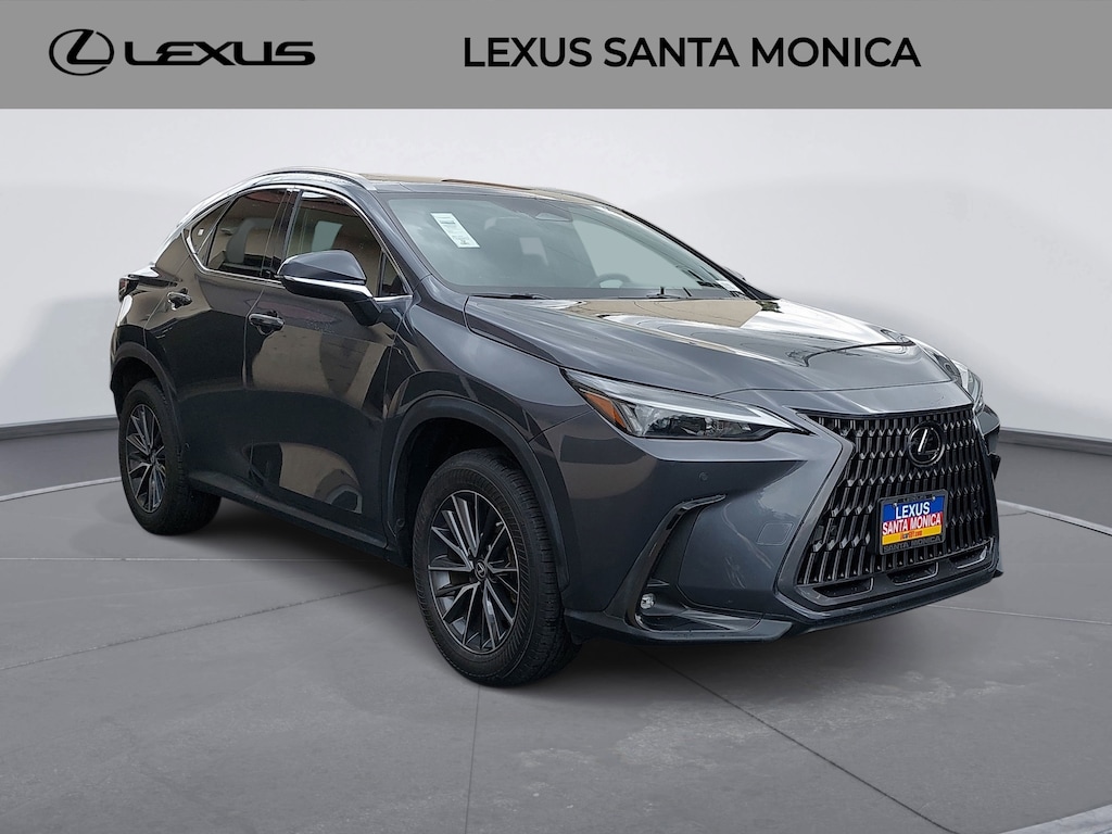 2022 Lexus NX 250 Premium photo 3