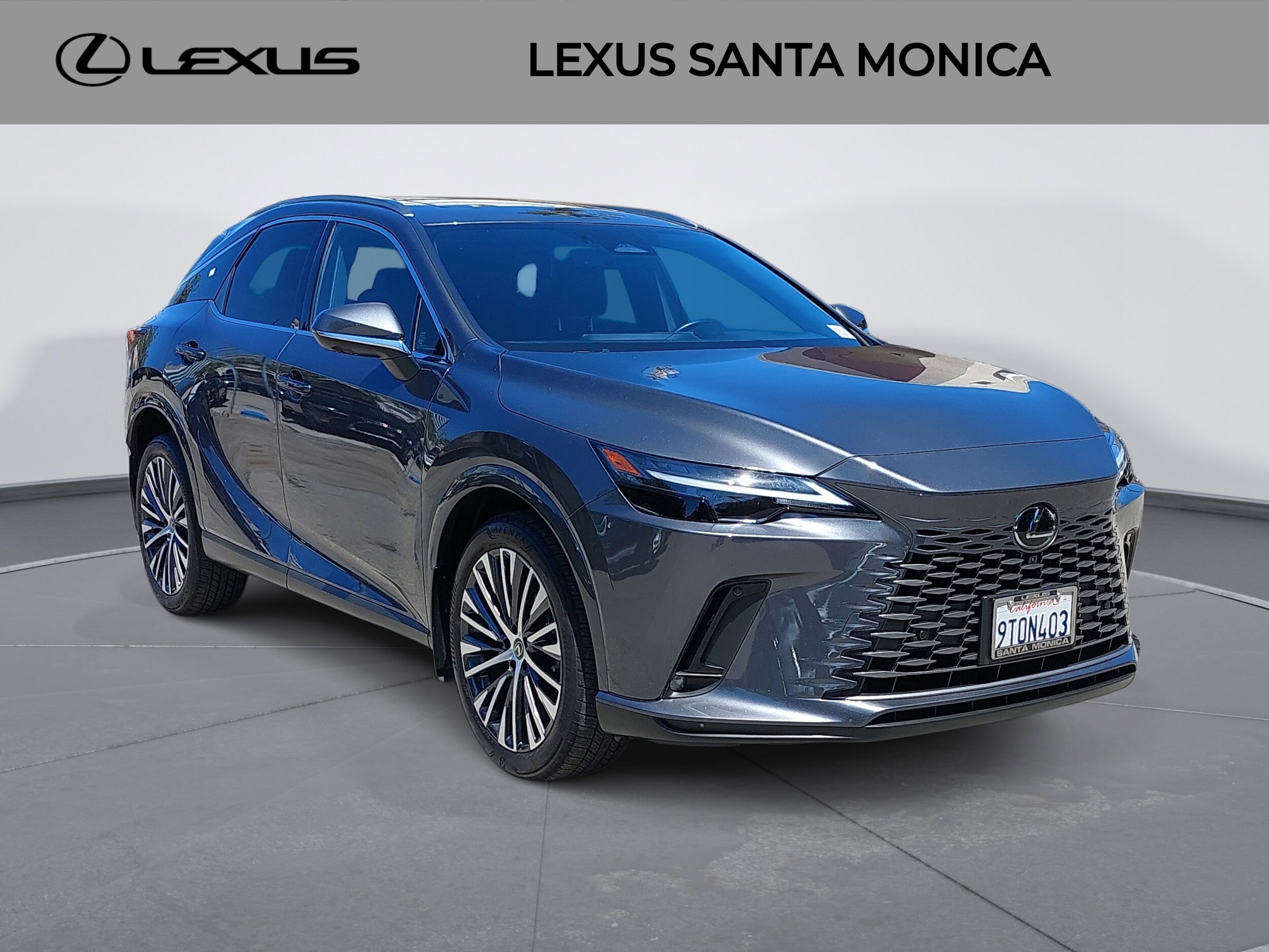 2025 Lexus RX 350 Premium photo 3