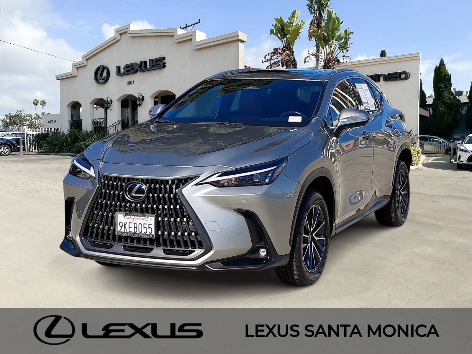 2024 Lexus NX
