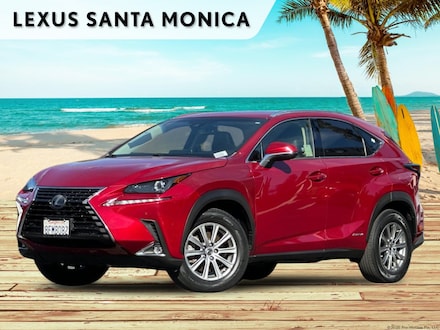 2019 LEXUS NX 300h 4D Sport Utility