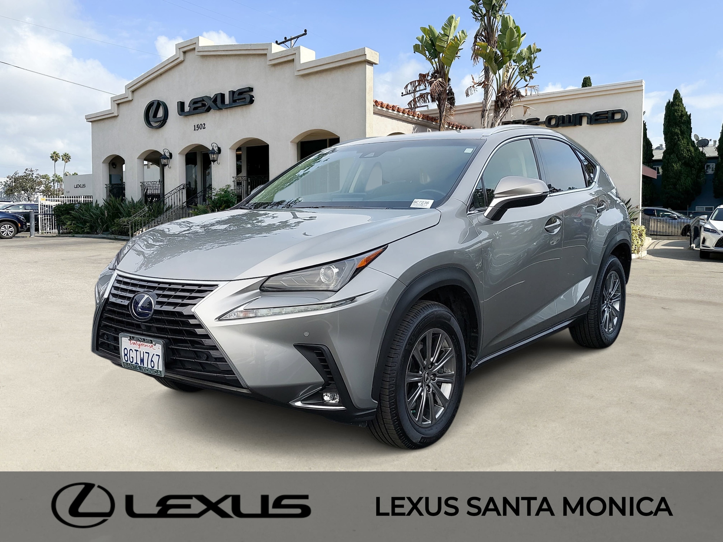 2019 Lexus NX Hybrid 300h's photo