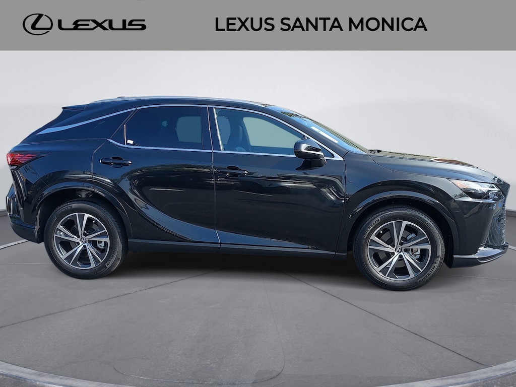 2024 Lexus RX 350 photo 2