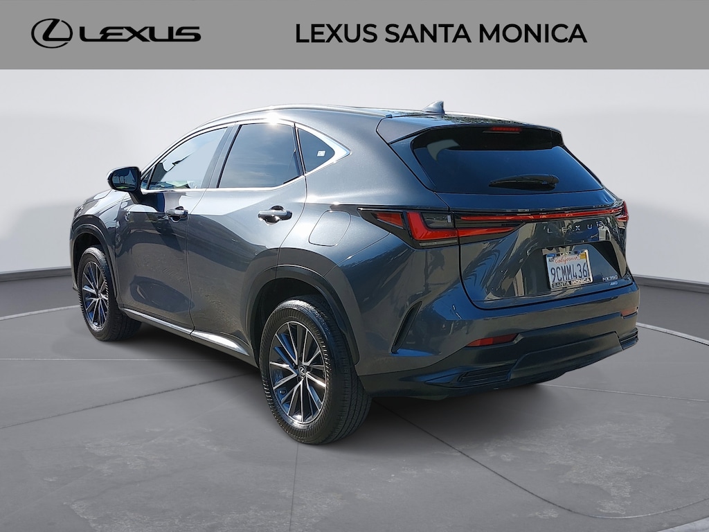 2022 Lexus NX 350 photo 6