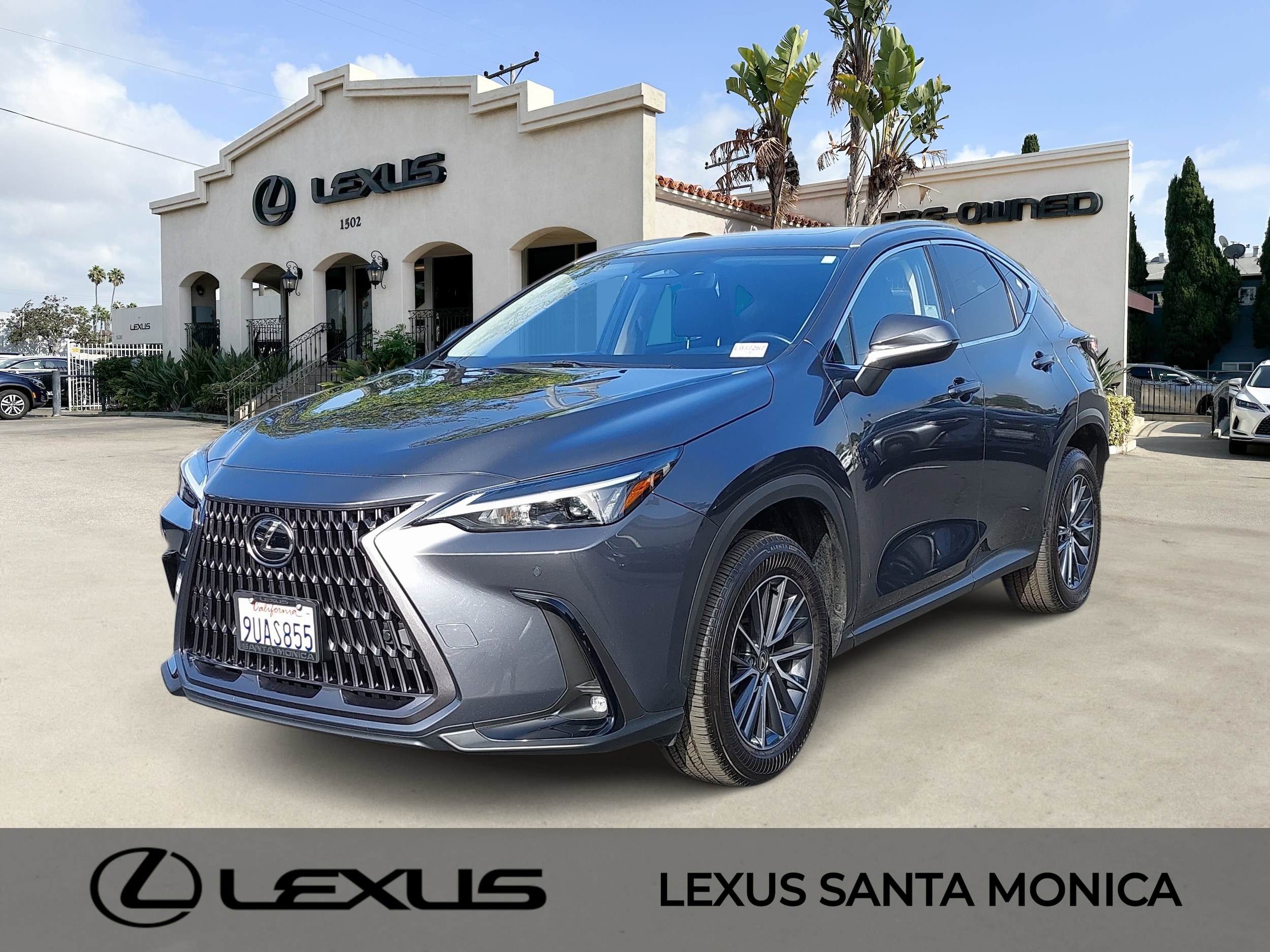 2025 Lexus NX Hybrid 350h's photo