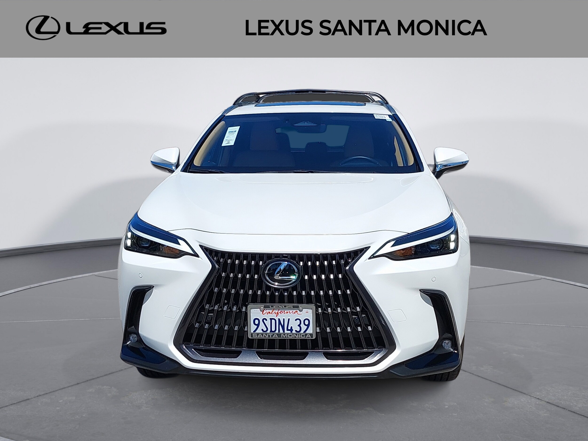 2025 Lexus NX 350h Premium photo 2