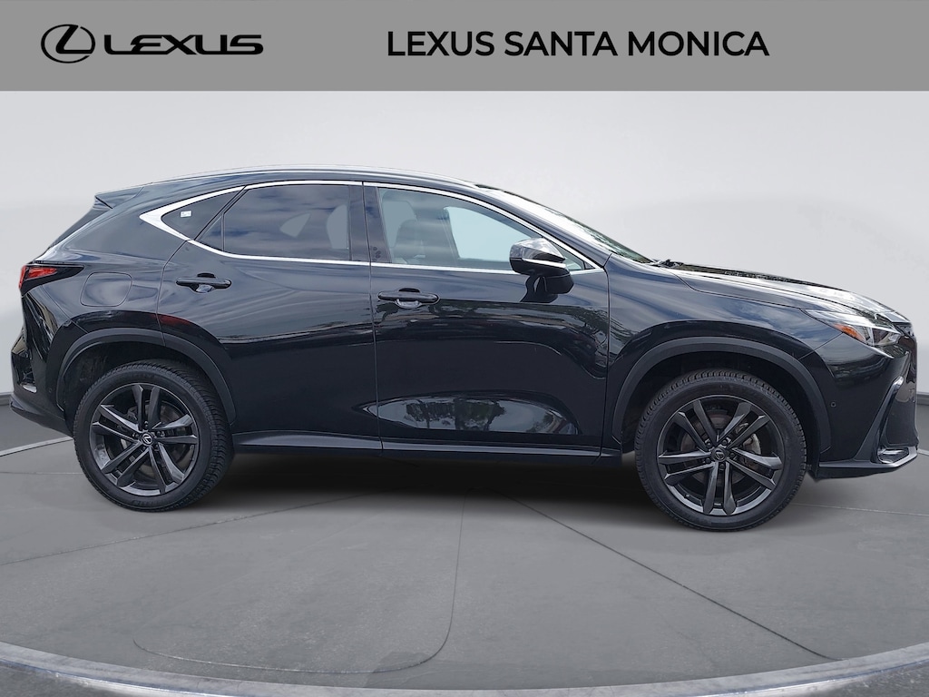 2022 Lexus NX 450h+ F SPORT photo 3