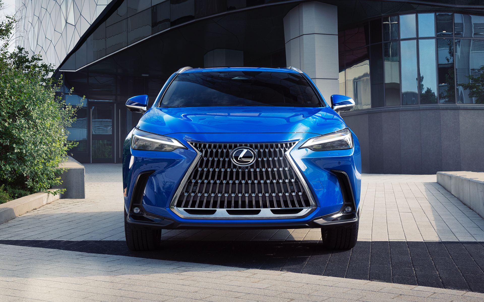 2023-lexus-nx-3.jpeg