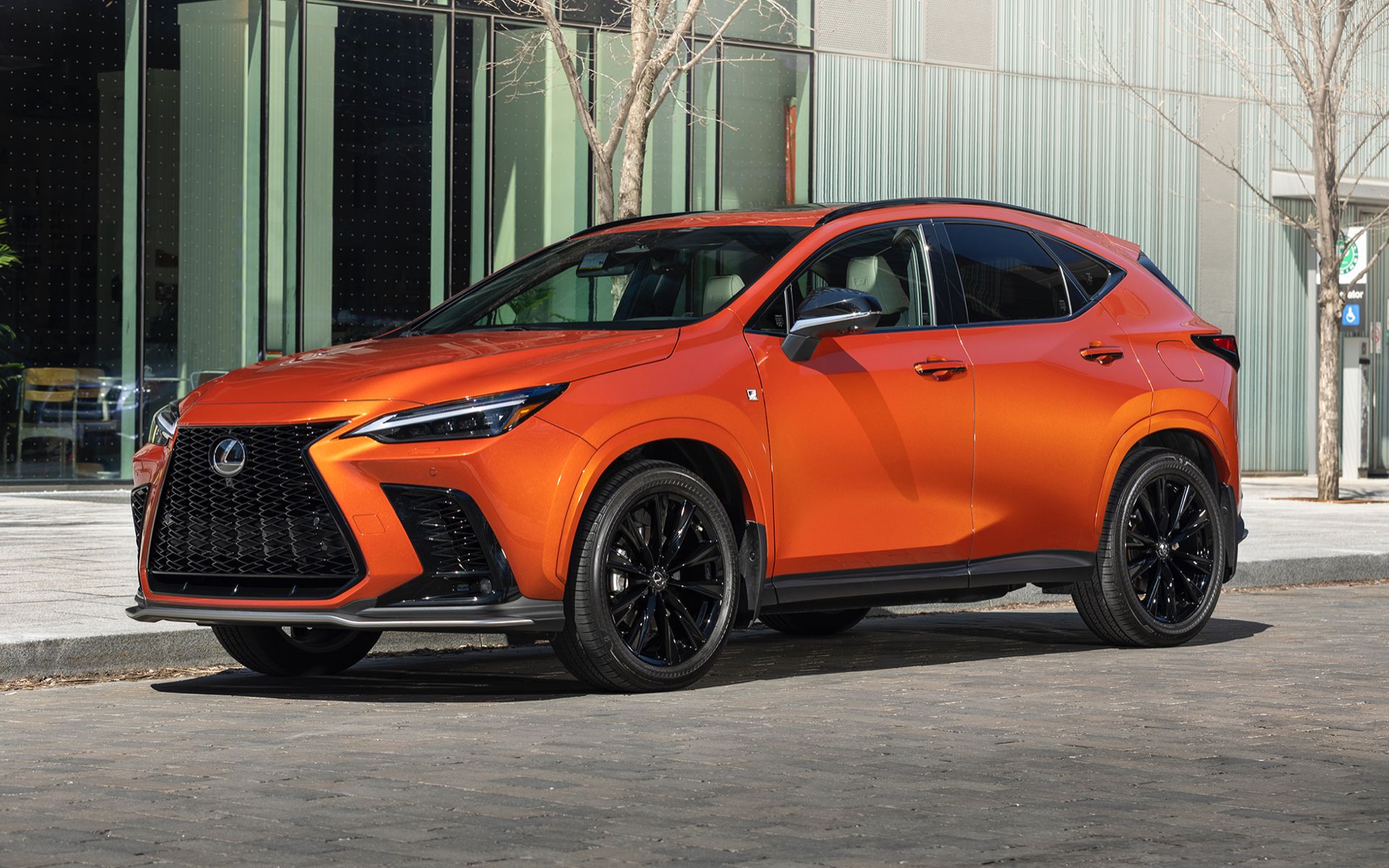2023-lexus-nx-1.jpeg