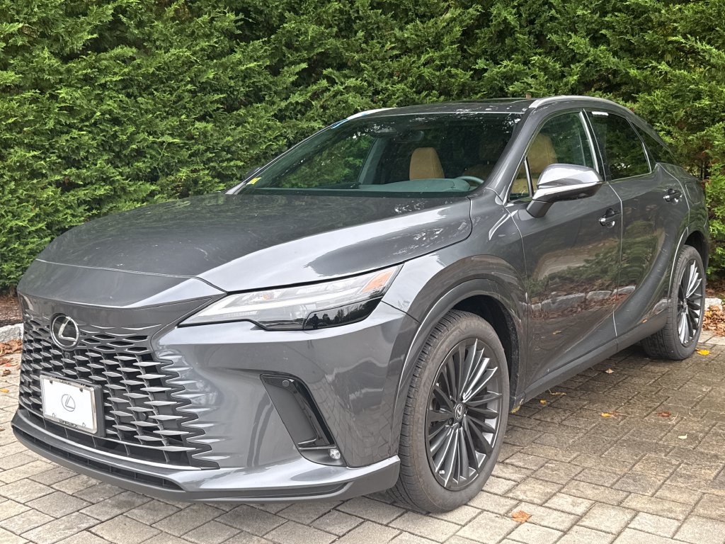 2025 Lexus RX