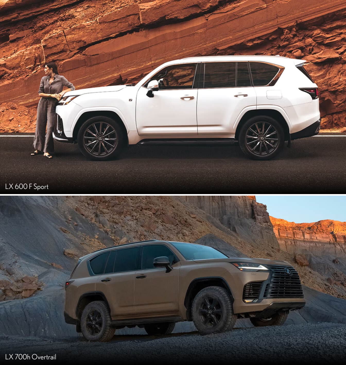 A front exterior view of a silver Lexus LX 600 LX Luxury parked in a snowy field surrounded by llamas.