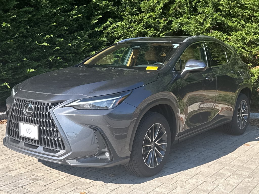 2025 Lexus NX