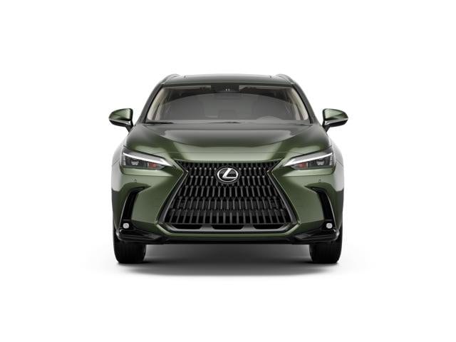 New 2026 LEXUS NX For Sale at McGee Automotive Family | VIN