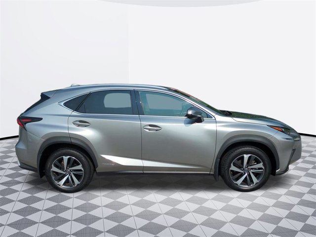 2020 Lexus NX 300h Premium photo 4