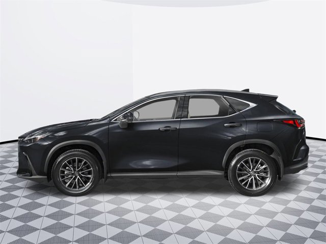 2025 Lexus NX 350h Luxury photo 3
