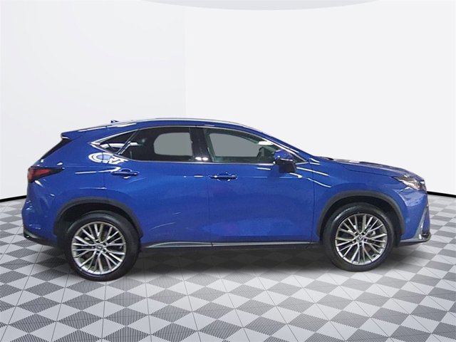 2025 Lexus NX Premium 350 photo 4