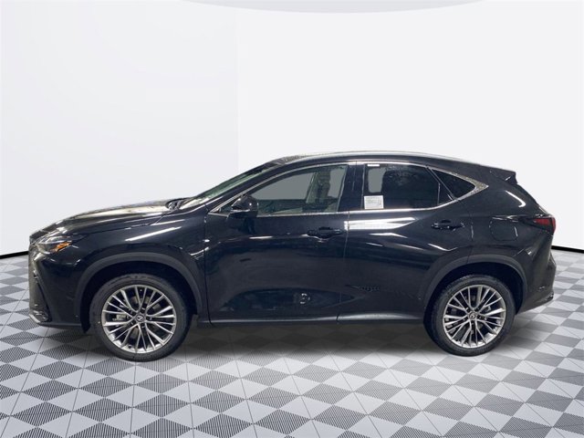 2026 Lexus NX 350 Luxury photo 2