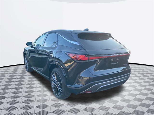 2025 Lexus RX 350 Luxury photo 3