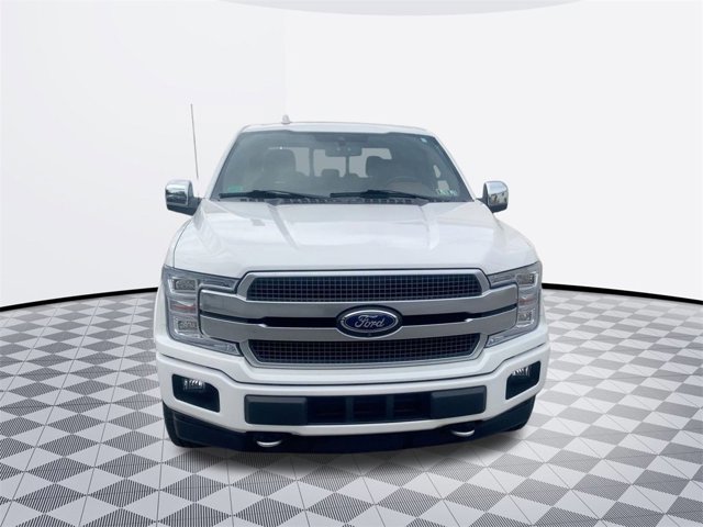 2019 Ford F-150 Platinum photo 2