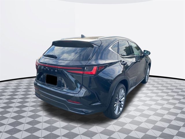 2026 Lexus NX 350 Luxury photo 4