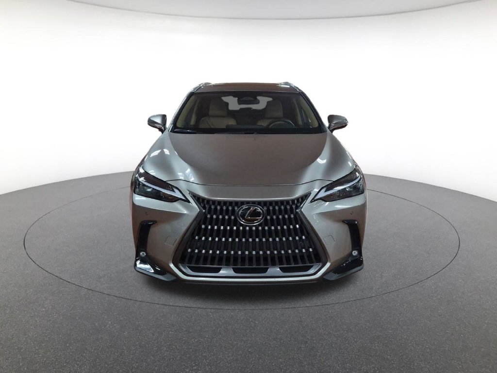 Used 2024 Lexus NX NX 350 Premium