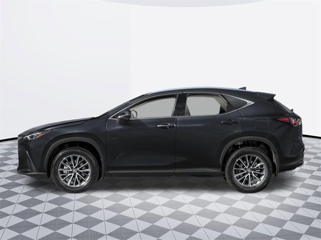 2025 Lexus NX 350 photo 3