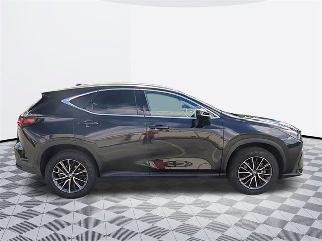 2022 Lexus NX 350h Premium photo 4