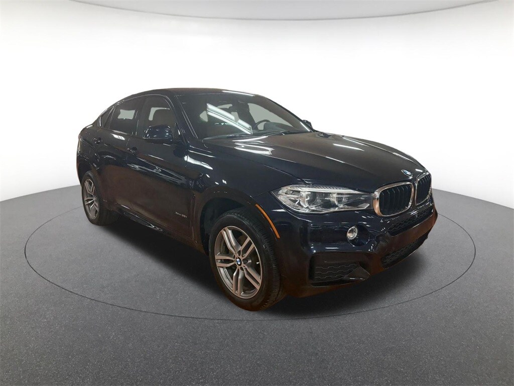 2019 Bmw X6 xDrive35i photo 3