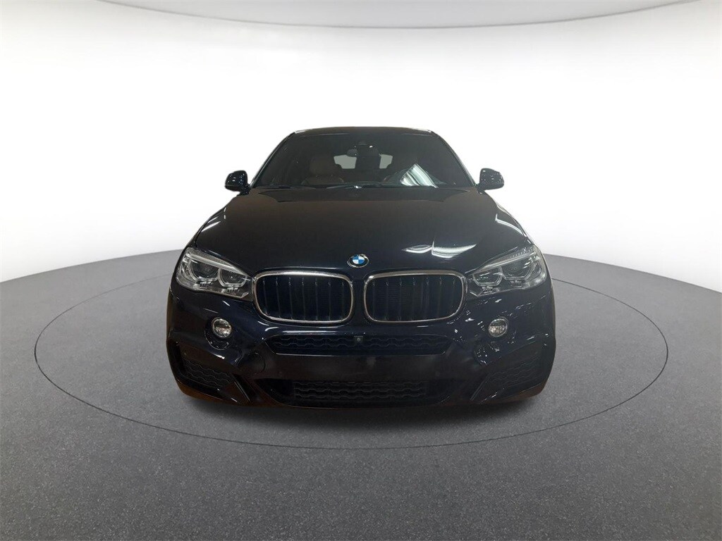 2019 Bmw X6 xDrive35i photo 2