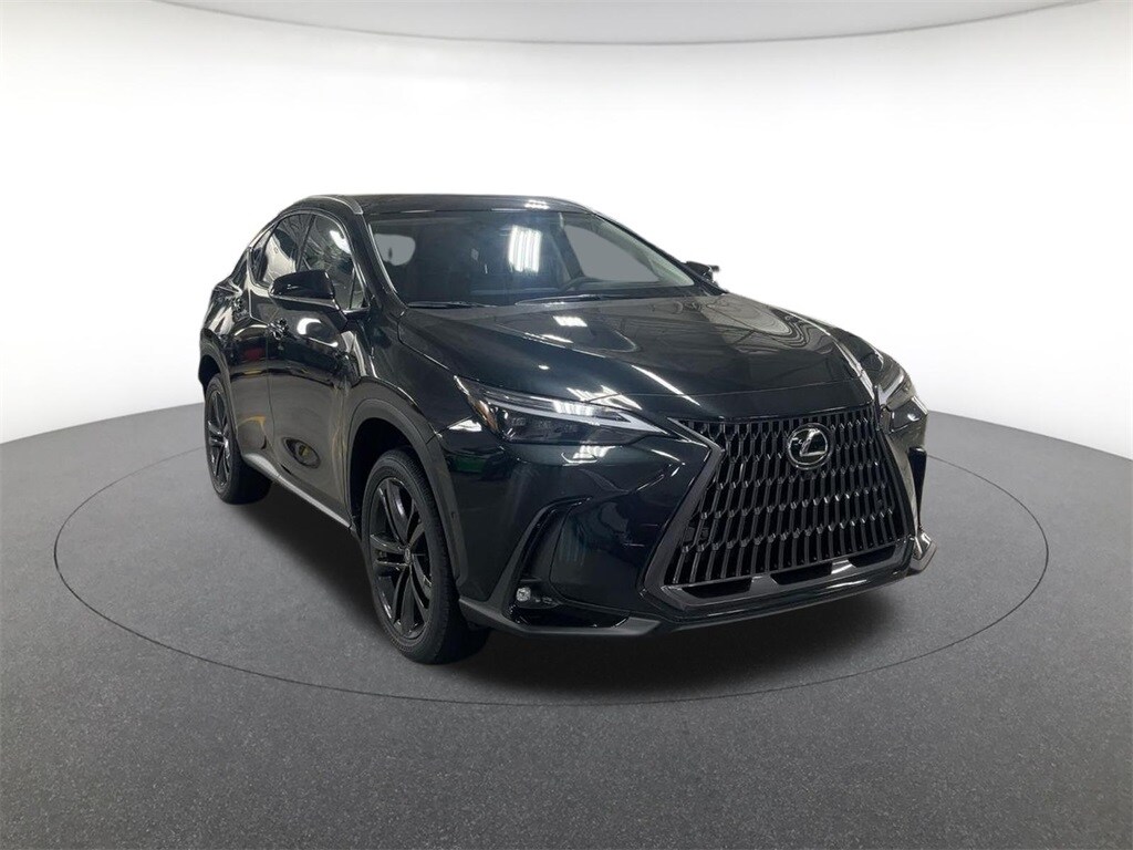 2026 Lexus NX Luxury photo 2