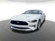 Used 2019 Ford Mustang GT Premium